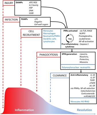 Age and Age-Related Diseases: Role of Inflammation Triggers and Cytokines